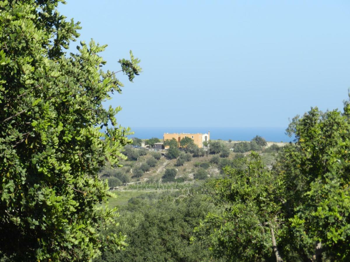 Villa Zammarra Casa Maccari Luaran gambar